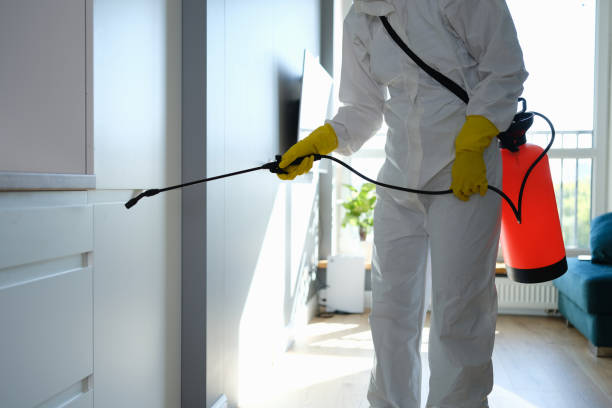 Best Commercial Mold Inspection  in Ruskin, FL